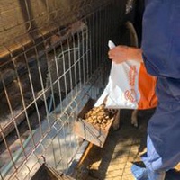 photo de livraison pour RespekTIERE Leben e.V.