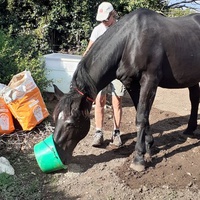 photo de livraison pour Association hippique du Caroux
