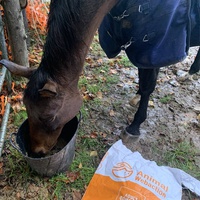 photo de livraison pour Espoir au Galop