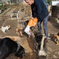 photo de livraison pour Mariuta