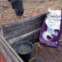 photo de livraison pour Equi-Libre : Droit à la Retraite Equine