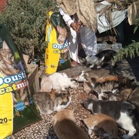 photo de livraison pour ERHAM