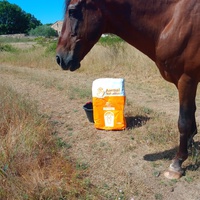 photo de livraison pour Equi-Libre : Droit à la Retraite Equine