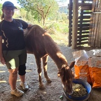 photo de livraison pour La Retraite des Chevaux des Causses