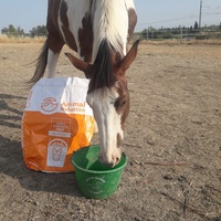 photo de livraison pour Happy Horse Day
