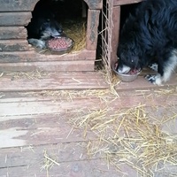 photo de livraison pour Samira Gagula