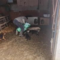 photo de livraison pour ПРИХВАТИЛИШТЕ ДРАЖЕВАЦ