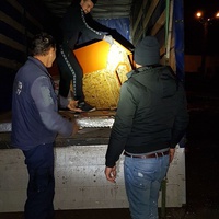 photo de livraison pour Association Lupy Orastie