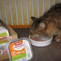 photo de livraison pour Au Bonheur des Chats Libres