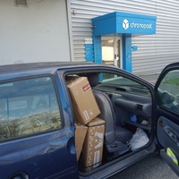 photo de livraison pour Les Chats-Pitresdelavi-Ste