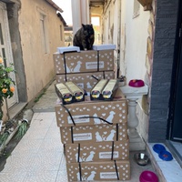 photo de livraison pour Association des Chats Camarguais