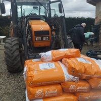 photo de livraison pour Hearthland Royal Horse