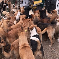 photo de livraison pour Sanctuaire de la Faune de Tanger (SFT)