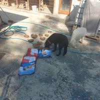 photo de livraison pour UZZŽ "Sretna Šapa"