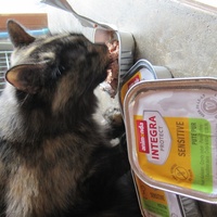 photo de livraison pour Jardin des Chats