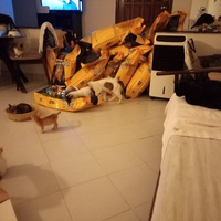 photo de livraison pour Ghita Muller El Jirari