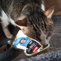 photo de livraison pour Catmondou