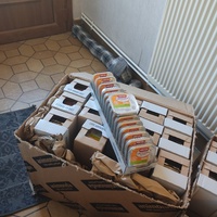 photo de livraison pour Les chats de l'Indifférence