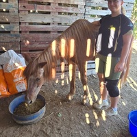 photo de livraison pour La Retraite des Chevaux des Causses