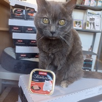 photo de livraison pour CAPPA