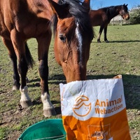 photo de livraison pour Arche et Relais