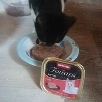 photo de livraison pour L'Arche des Amis à pattes
