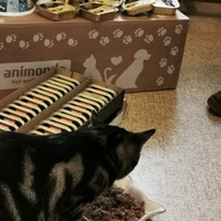 photo de livraison pour Les Chats Libres de Joinville