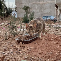 photo de livraison pour Kawthar Maree