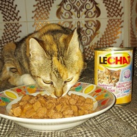 photo de livraison pour Samantha Réaux