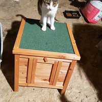 photo de livraison pour La Patte de l'Espoir 57