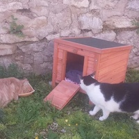 photo de livraison pour Ecole du Chat d’Arbois