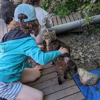 photo de livraison pour Les Chats Perchés de Mirmande