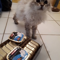 photo de livraison pour CAPPA