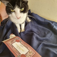 photo de livraison pour Rohini et Compagnie