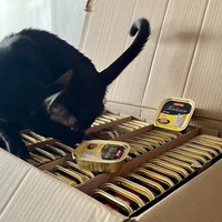 photo de livraison pour Association C.A.T.S. Chat Animal Terrien Solidarité