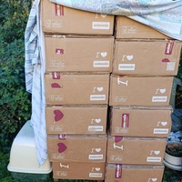 photo de livraison pour Les Chats de la Rue