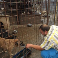 photo de livraison pour Save & Hope for Dogs