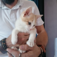 photo de livraison pour L'Arche de Ploum