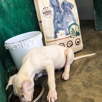 photo de livraison pour Huellas del Valle con Esperanza