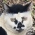 photo animal