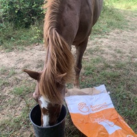 photo de livraison pour Espoir au Galop