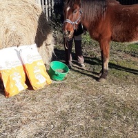photo de livraison pour Association hippique du Caroux