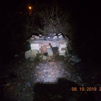 photo de livraison pour Pro Animals Finland ry