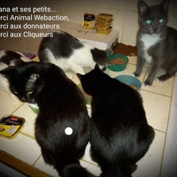 photo de livraison pour Lita