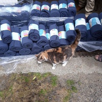photo de livraison pour Ecole du Chat Libre de Caillerot