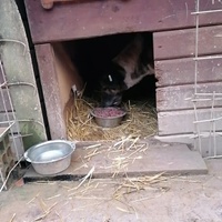 photo de livraison pour Samira Gagula