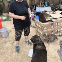 photo de livraison pour Chats Libres de Béziers