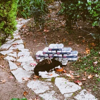 photo de livraison pour Contrôle & Protection des Chats Andréens