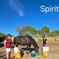 photo de livraison pour La Retraite des Chevaux des Causses