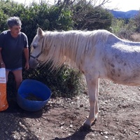 photo de livraison pour La Retraite des Chevaux des Causses